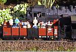 14101-0106_AUT_2.JPG