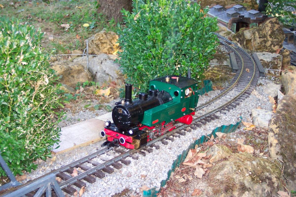 wiesel4
