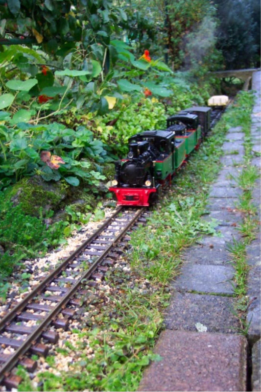 Rollwagenzug