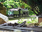 38100_6166.JPG