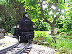 38100_6205.JPG