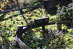 38Herbstdampf.jpg