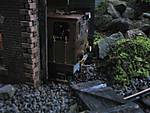 38IMG_5792_2.jpg