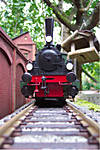 38T3_07.jpg