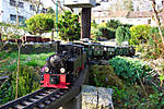 38pwkk028.JPG