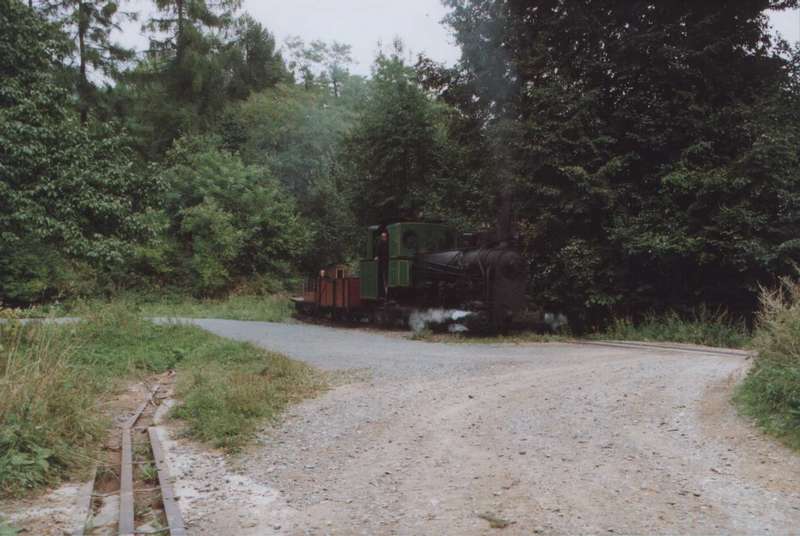 Krauss7485_c