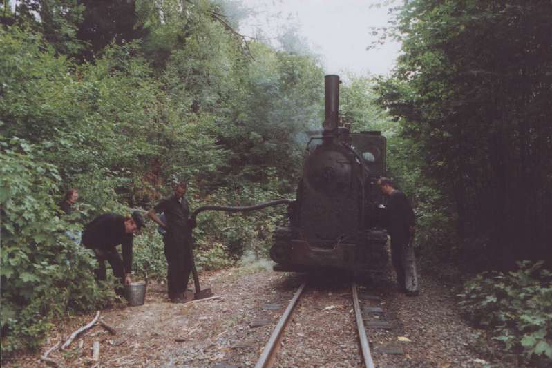 Krauss7485_d