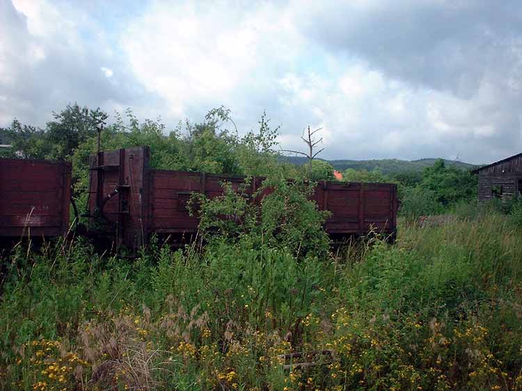 Unkrautgleis-Gernrode