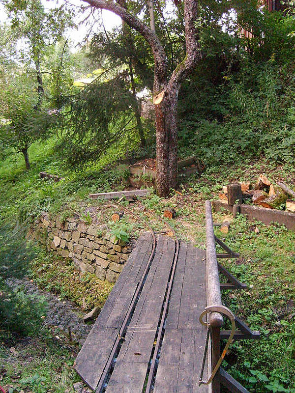 Holz_1