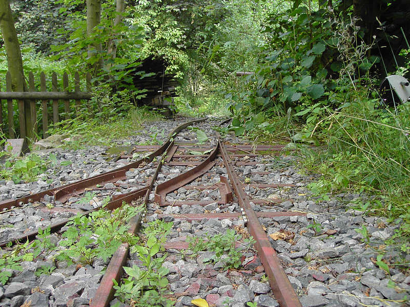 zugewachsen02