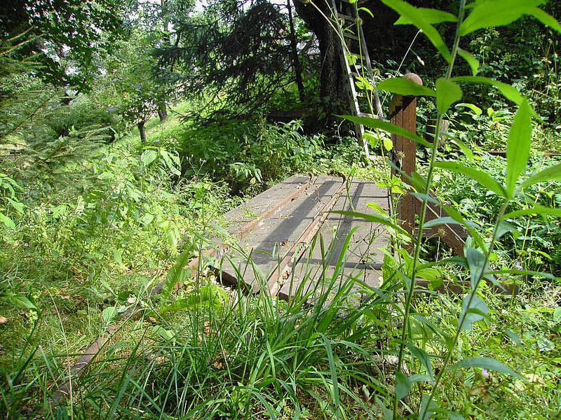 zugewachsen03