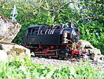 382009-04-25_80_028_in_der_steinerenen_Rinne_3.JPG