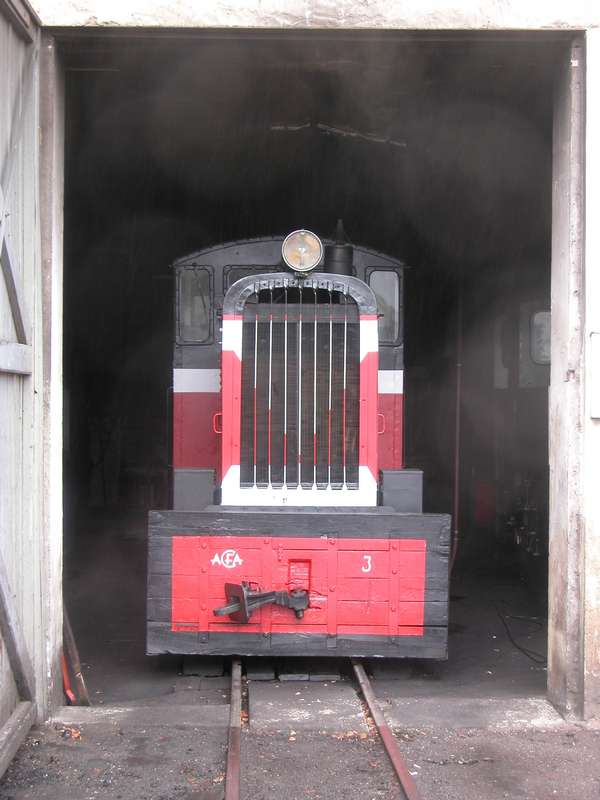 Diesellok im Schuppen