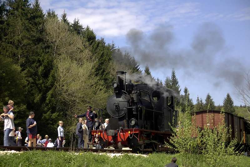 Umsetzen Sägmühle