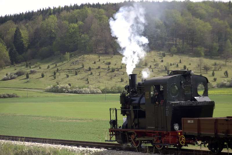 WN 12 vor Wachholderheide