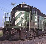 11GP9lownose.jpg