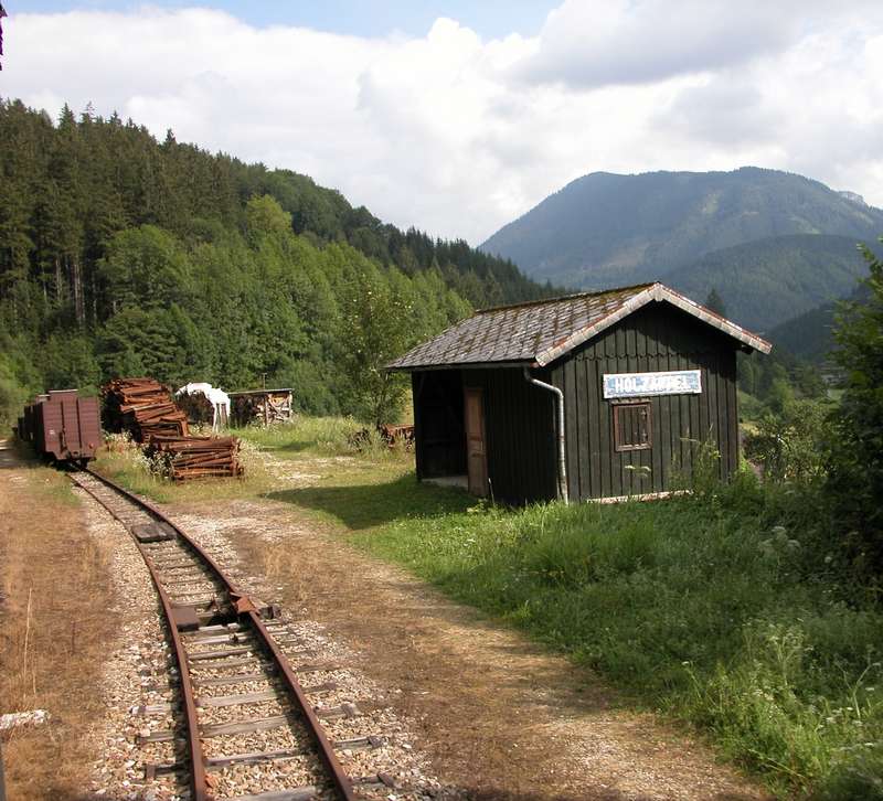 Holzapfel
