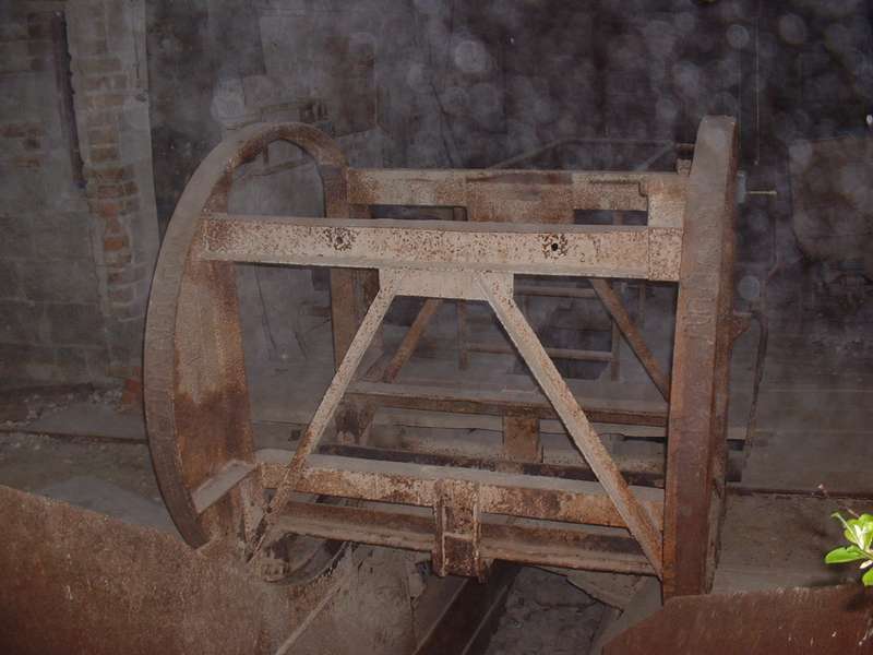 Rost