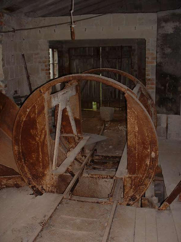 Rost