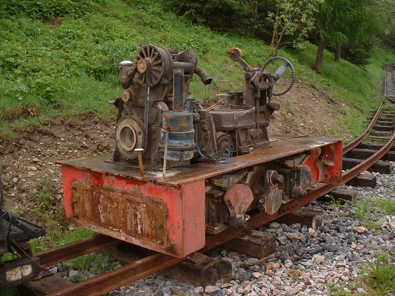 Rost