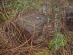 80DSCF007611.JPG