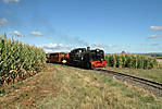 80Suedafrika_2012-03-30_5506.jpg