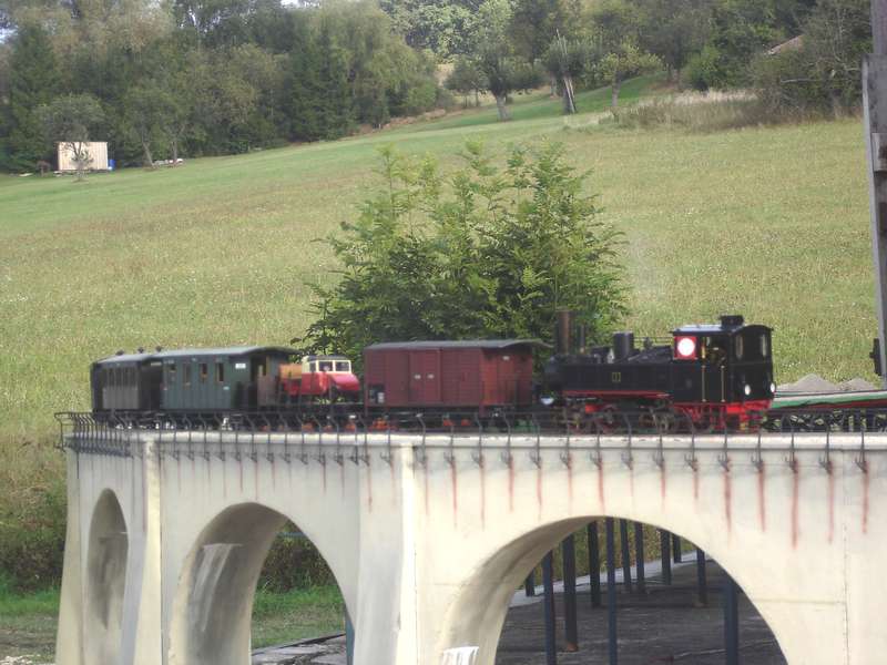 Zug_auf_Viadukt