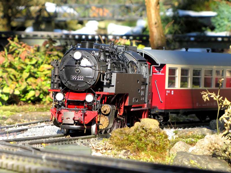Bergfahrt_99222