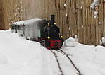 38IMG_0855.JPG