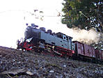 38WD2007_01.jpg