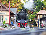 38WD2007_02.jpg