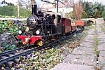 38WD3_04.jpg