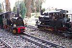 38WD3_07.jpg
