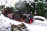 38Winter8.jpg