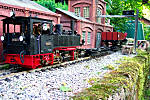 38100_3491.jpg