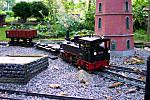 38100_3497.jpg