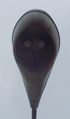L1