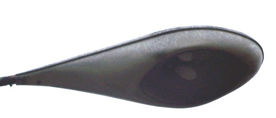 L2