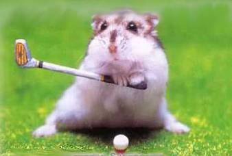 gen_golf1