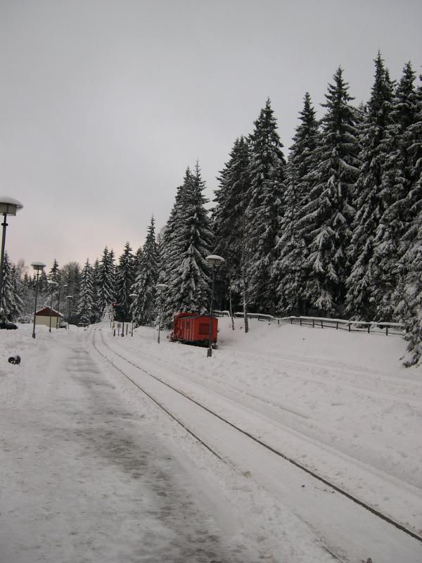schierke-1
