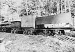 116baerener_hunte.jpg