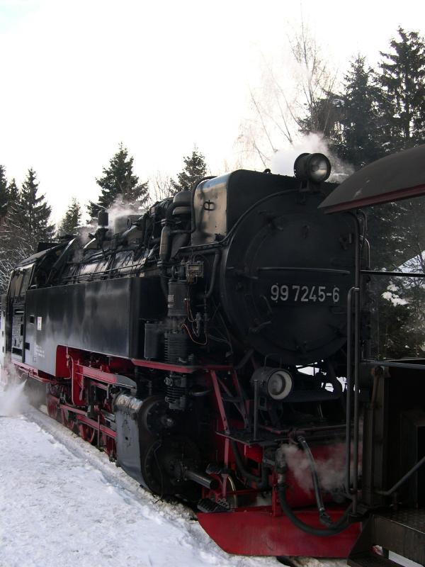 DSCN0384