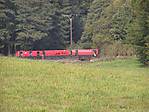 116Trio-01.jpg