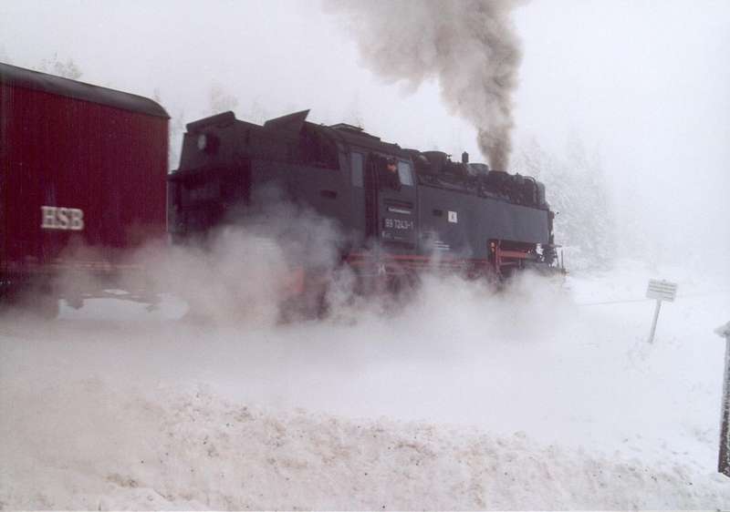 A31