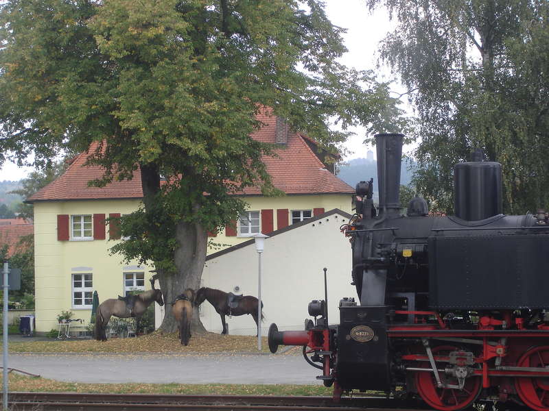 Lok_Haus_Baum_Pferde_Lichtenberg_Idyll_gut