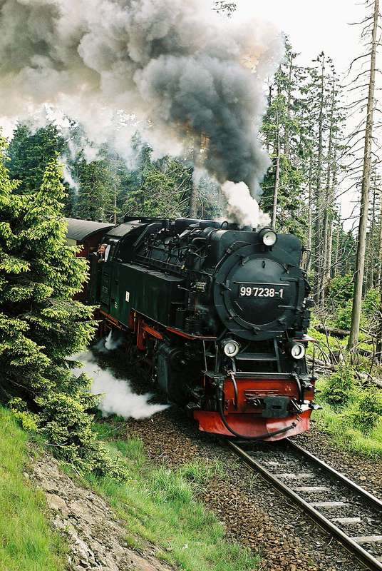 99 7238-1 im Harzer Tann