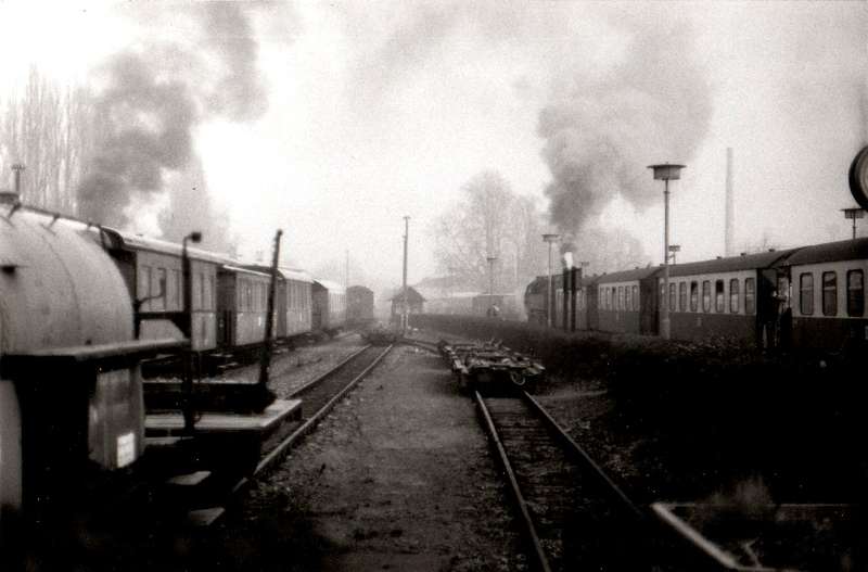 Am 5. Januar 1990 in Wernigerode-Wt.