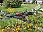 20260612_082502.jpg