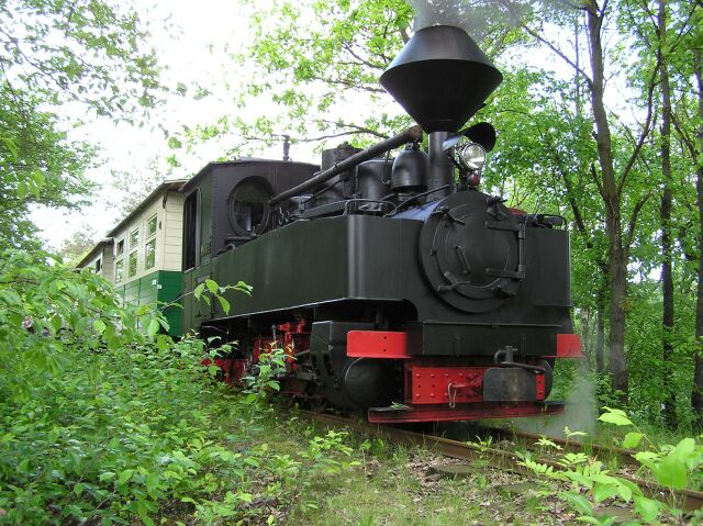 993317_forster_a