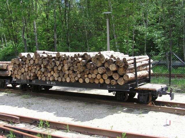 birgadewagen_holz
